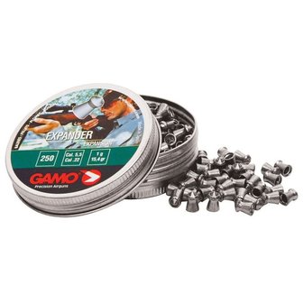 Gamo Expander .22