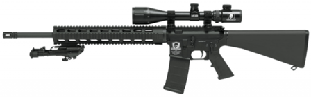 SDM M16 Marksman 20&quot;  .223Rem