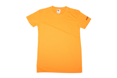 T-Shirt CZ Oranje