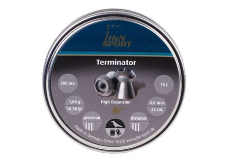 H&amp;N Terminator .22