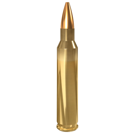 Lapua .223Rem FMJ Match 55gr (20 stuks)