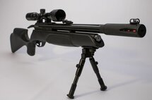 Gamo Arrow .22 incl. 3-9x40mm scope and bipod (40J)