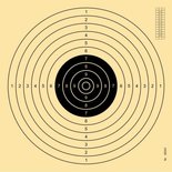 Shooting Target 55x52cm sliced