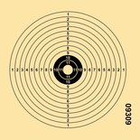 Airgun 12-Rings Target 14x14cm