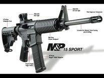 Smith & Wesson M&P15 Sport II  5.56x45mm